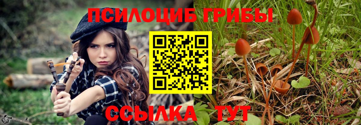 магазин  наркотиков  Вход с VPN  Сердобск  Галлюциногенные грибы мицелий 