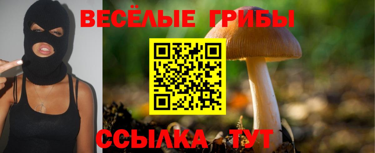Псилоцибиновые грибы ЛСД Сердобск